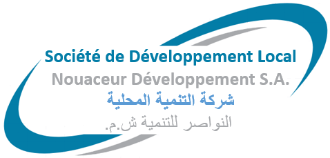 Société de Développement Local Nouaceur Développement
