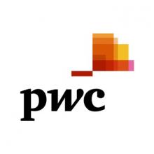 PWC BUSINESS SERVICES