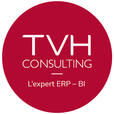 Consultant technique projet erp microsoft dynamics finance & operations (f/h)