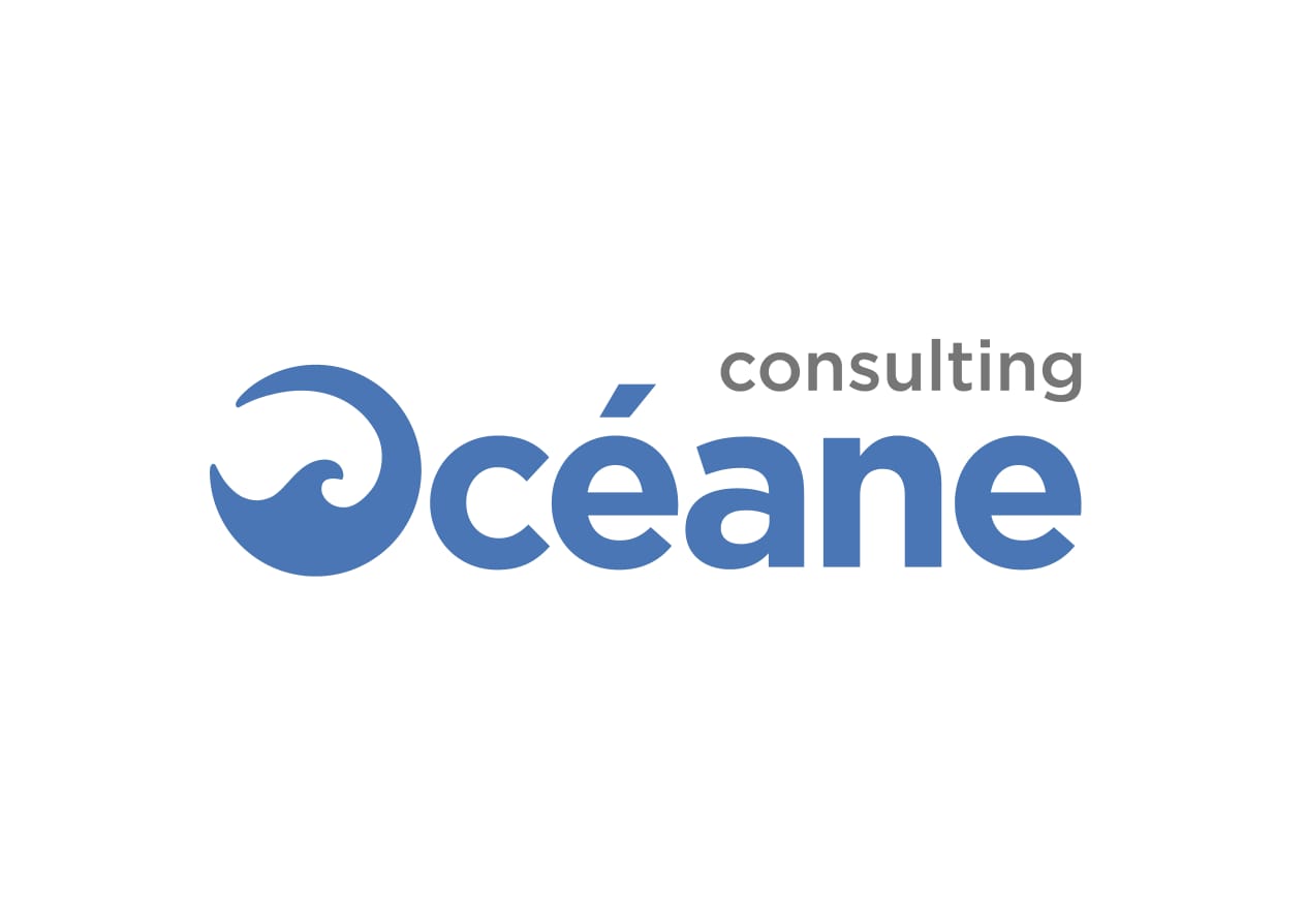 Oceane Consulting IT Maroc