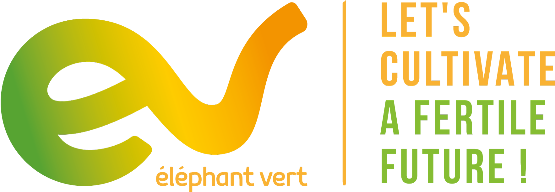 Elephant Vert Micro