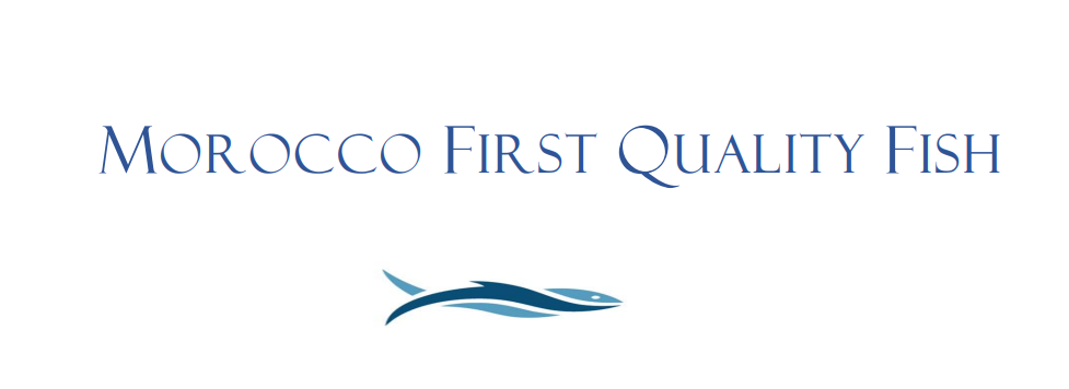 Morocco First Quality Fish